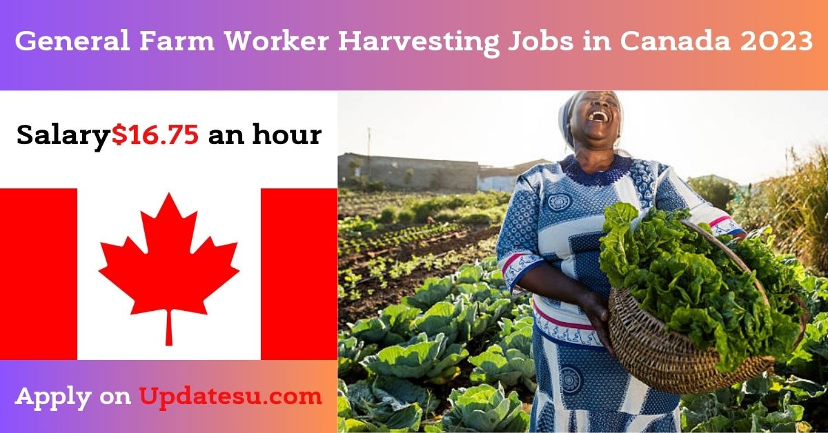 General Farm Worker Harvesting Jobs in Canada 2023