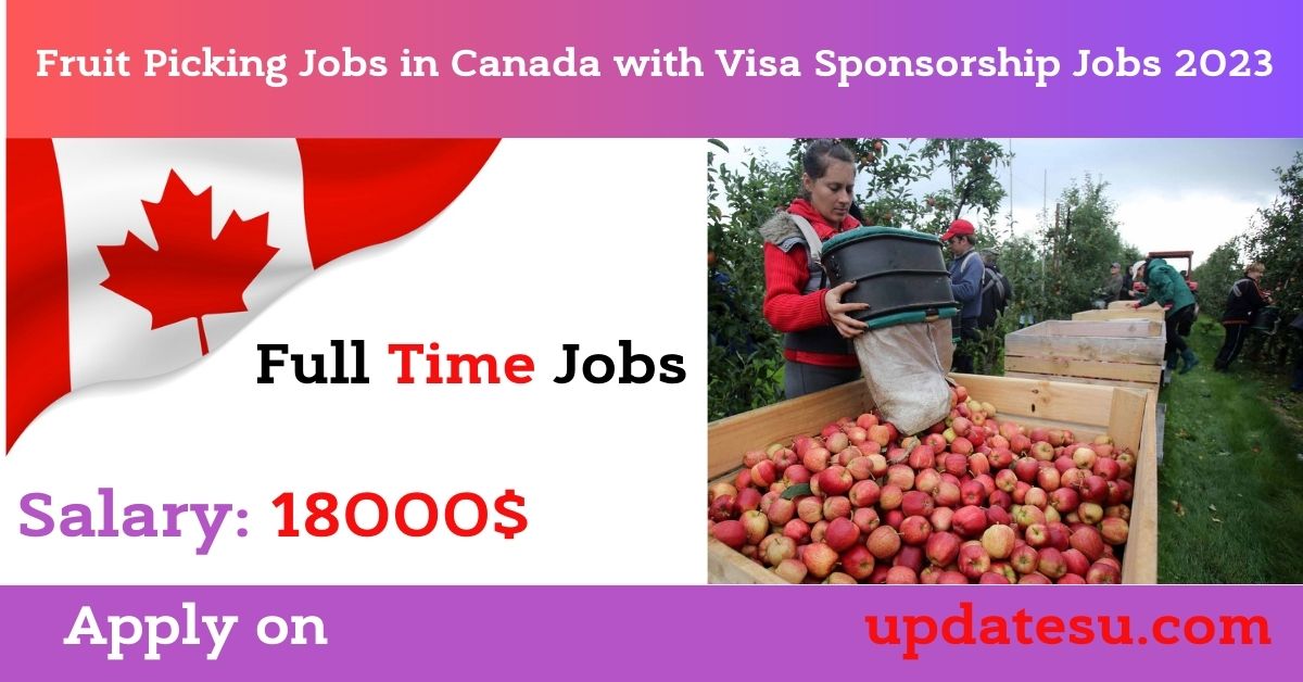 Fruit Picking Jobs in Canada with Visa Sponsorship Jobs 2023