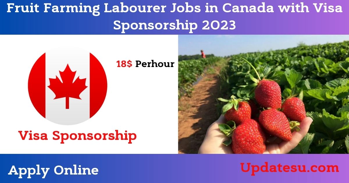 Fruit Farming Labourer Jobs in Canada with Visa Sponsorship 2023