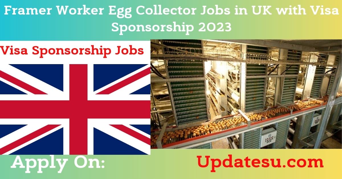 Framer Worker Egg Collector Jobs in UK with Visa Sponsorship 2023