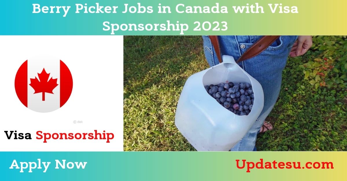 Berry Picker Jobs in Canada with Visa Sponsorship 2023