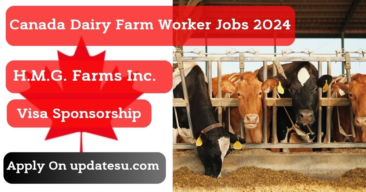 Canada Dairy Farm Worker Jobs 2024 with Visa Sponsorship
