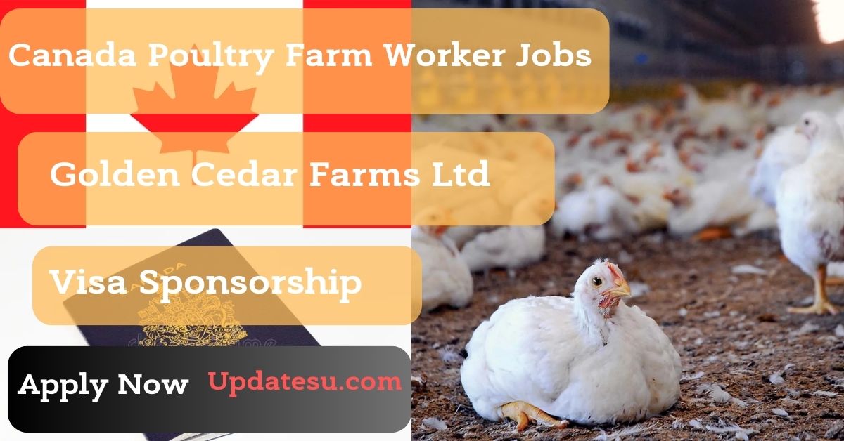 Canada Poultry Farm Worker Jobs 2024 with Visa Sponsorship