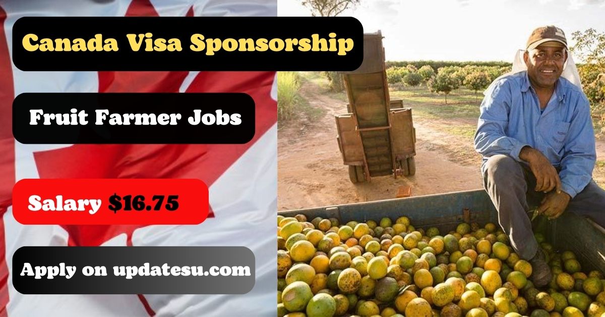 Pick Your Dream Job: Fruit Farm Work & Visa Sponsorship in 2024