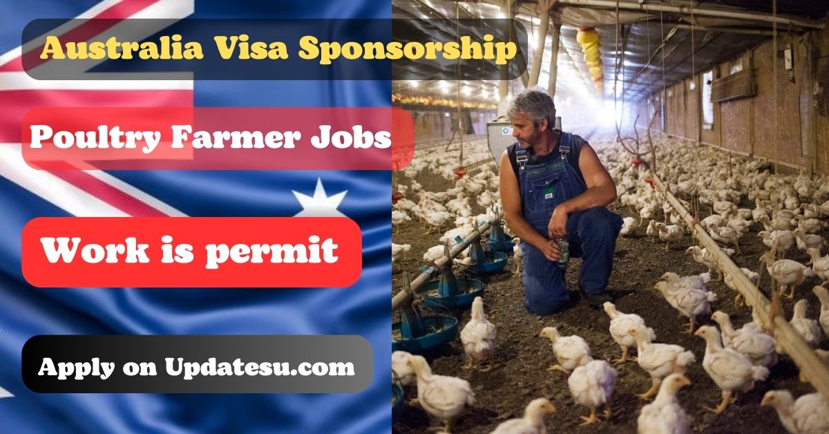 Poultry Farmer Jobs in Australia with Visa Sponsorship 2024