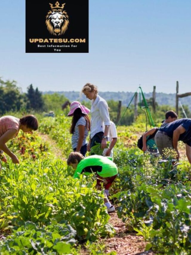 No Experience? No Problem! Visa-Sponsored Farm & Gardener Jobs Open Doors in Germany
