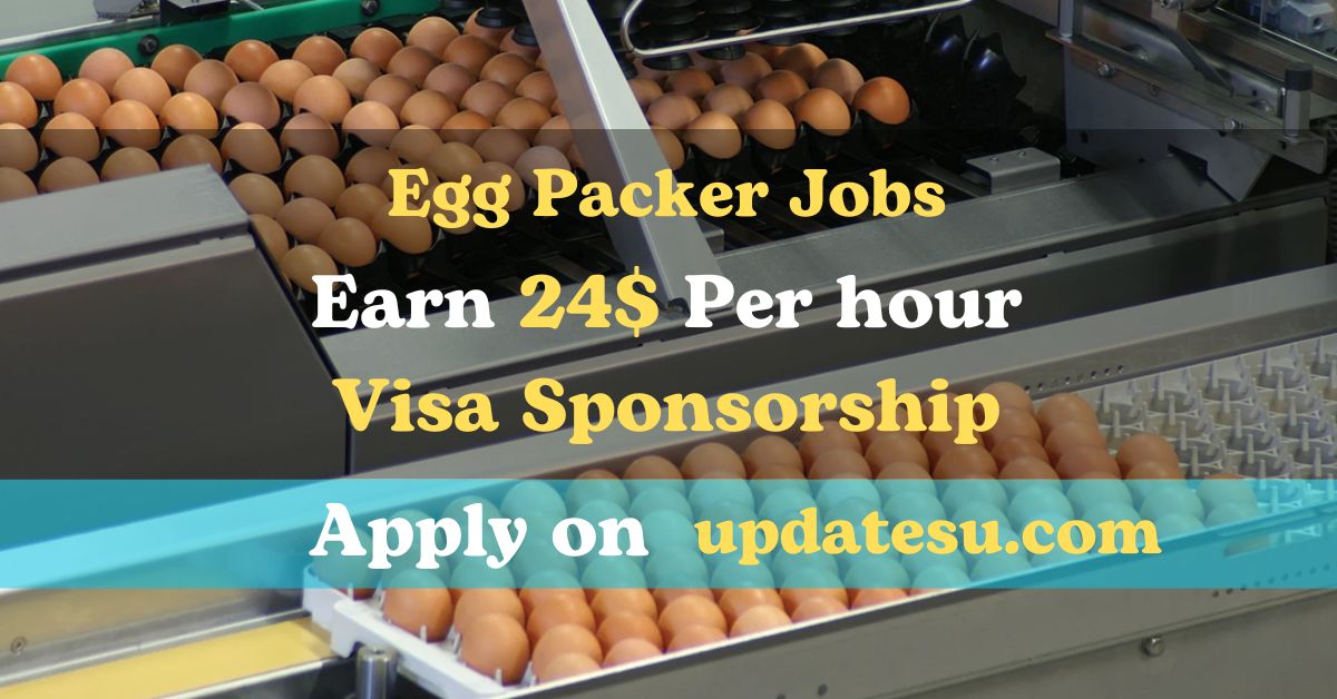 Egg Packer Jobs in Canada 2024: Earn $24 per Hour with Visa Sponsorship