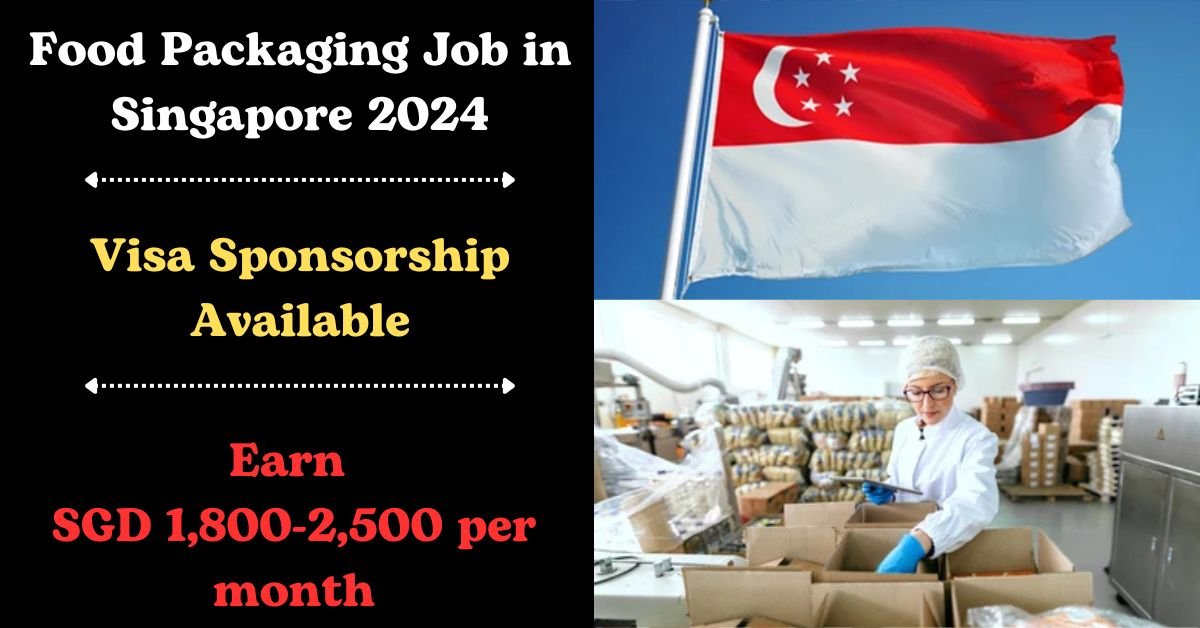 Food Packaging Job, Free Visa Ticket Jobs in Singapore 2024: Your Path to an Exciting Opportunity