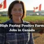 High Paying Poultry Farm Jobs in Canada? Saskatchewan Hiring Now! 2025