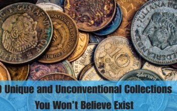 : 9 Unique and Unconventional Collections You Won’t Believe Exist